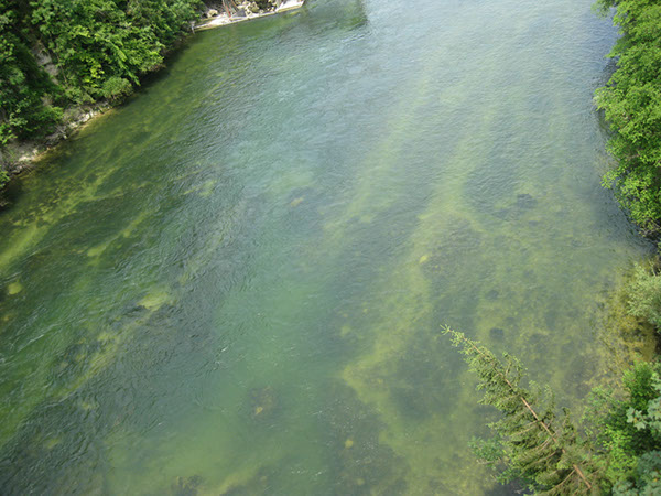 %_tempFileNameIMG_3640%