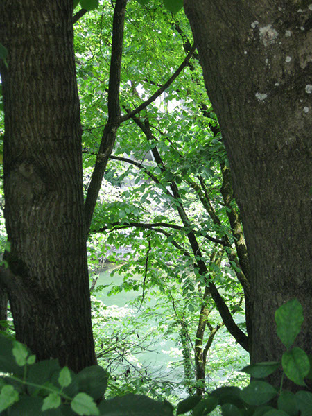 %_tempFileNameIMG_3645%