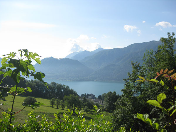 %_tempFileNameIMG_3695%