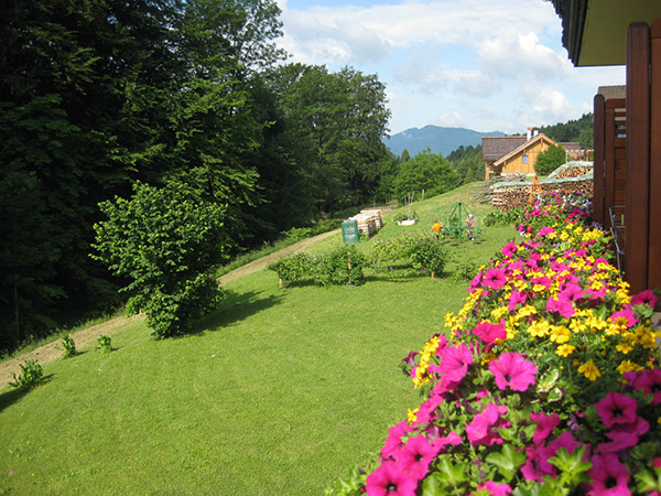 %_tempFileNameIMG_3699%