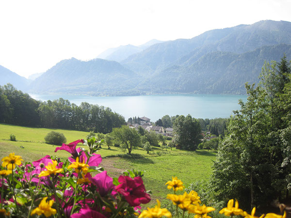 %_tempFileNameIMG_3700%